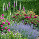 10 ароматных цветов, которые нужны вашему саду