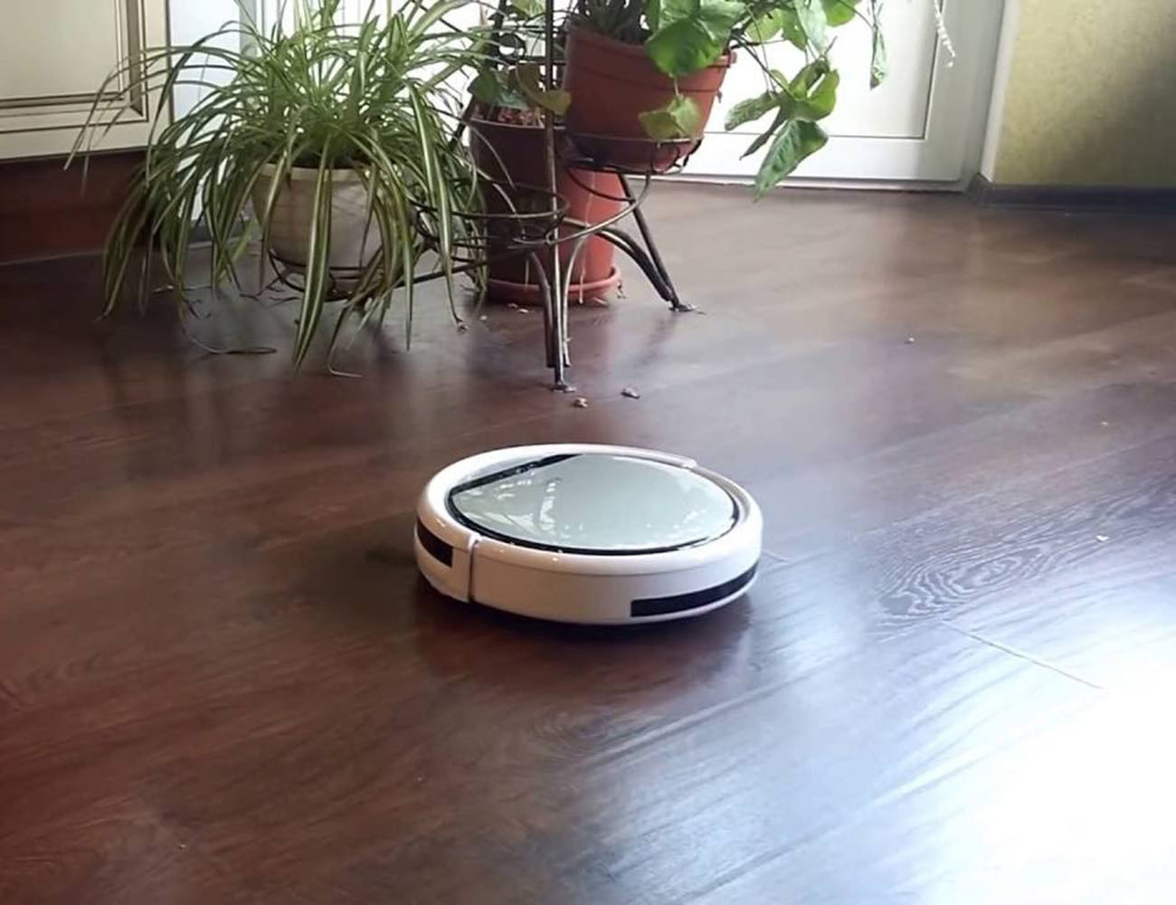 робот-пылесос дома