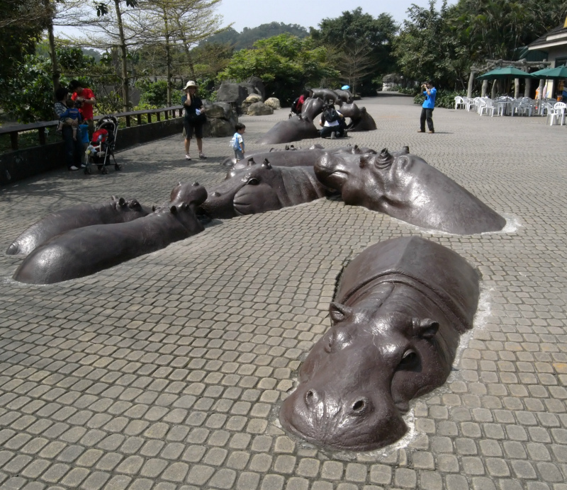 бегемоты Тайвань