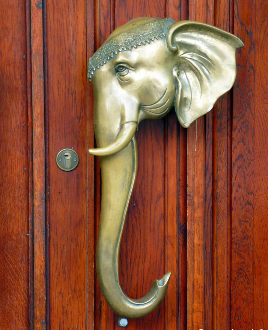дверь со слоном 
