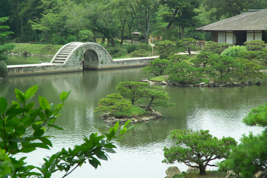 японский сад 