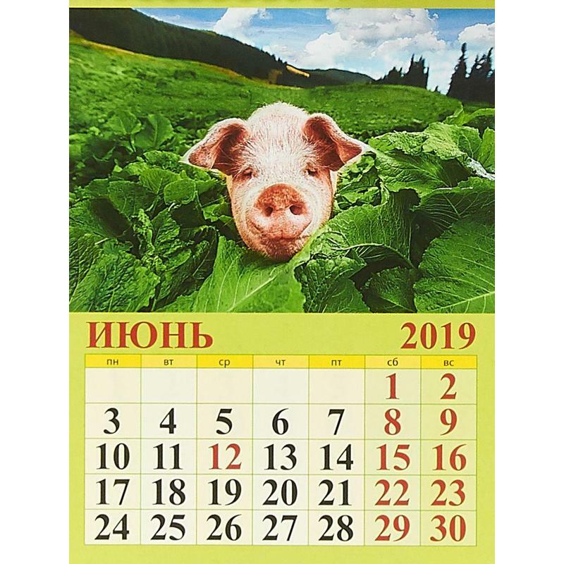календарь с символом года