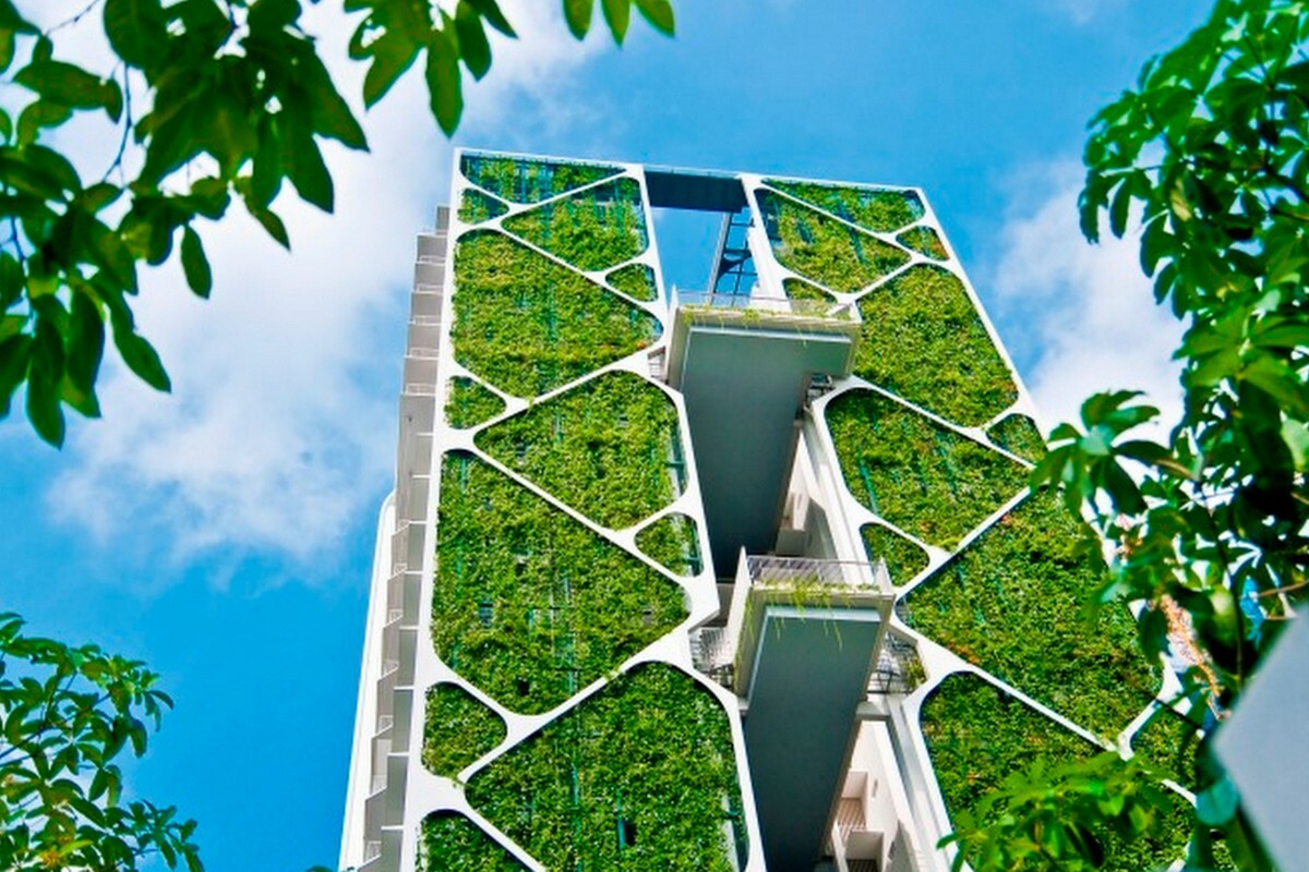 современная архитектура, зеленые стены зданий
