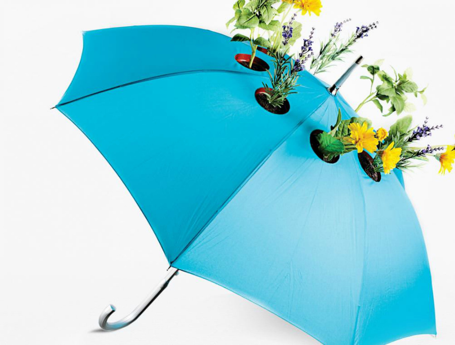 необычный зонт